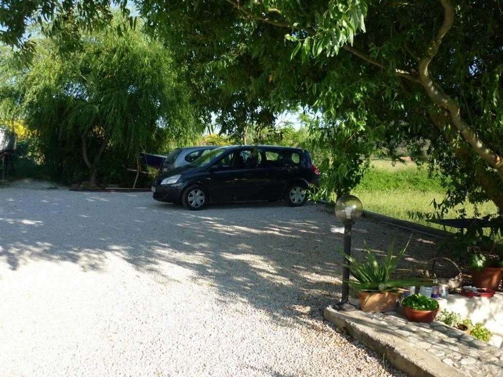 Bougenville Kampor